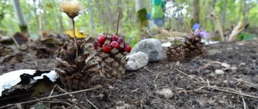 Event-Image for 'Raus in den Herbst - Ferientag in der Fr&ouml;ttmaninger Heide'