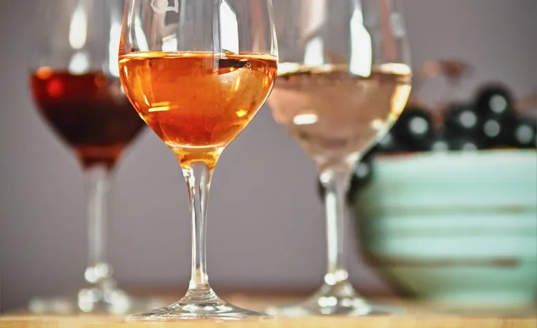 Rebsorten-Kurs: Typisch Merlot, Chardonnay & Co., Cours & Séminaires, Delinat-Weindepot Olten