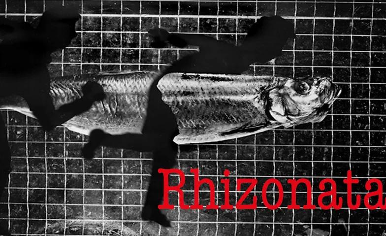 Event-Image for 'Hildegard Weber &ndash; Rhizonata'