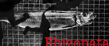Event-Image for 'Hildegard Weber &ndash; Rhizonata'