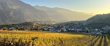Event-Image 'Weinwanderung - Balade des Vins - Wine Walk - Salgesch'