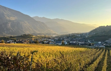Event-Image for 'Weinwanderung - Balade des Vins - Wine Walk - Salgesch'