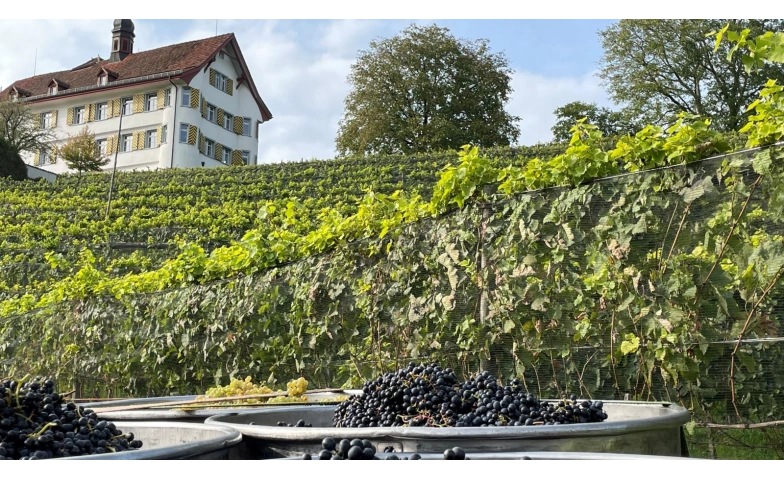 Schlossfest mit den Reblüt