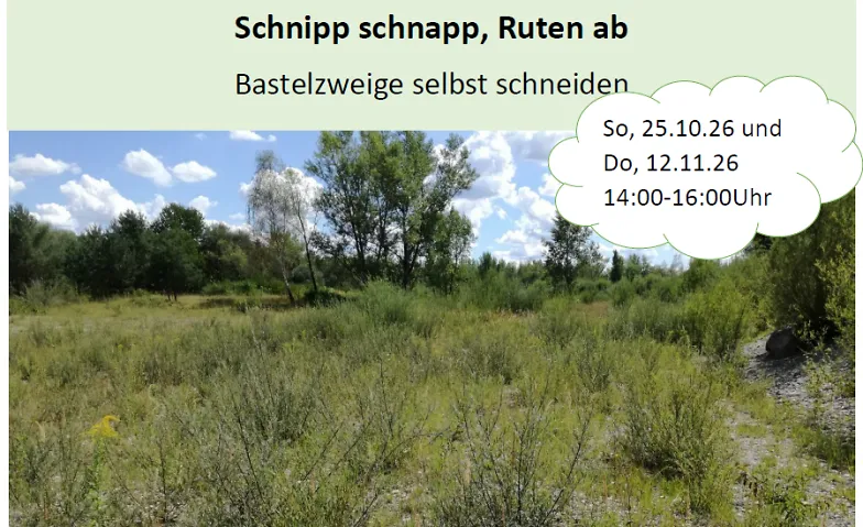 Schnipp schnapp, Ruten ab - Bastelzweige selber schneiden