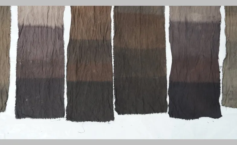 Event-Image for 'Schwarz  Schwarz - Schwarzf&auml;rben im Wandel'