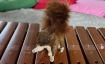 Musik-Minis mit Daniela