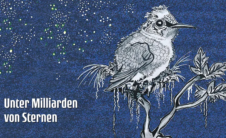 Unter Milliarden von Sternen - Lesung, Lesung & Literatur / Erzählen & Märchen, Schurterhaus
