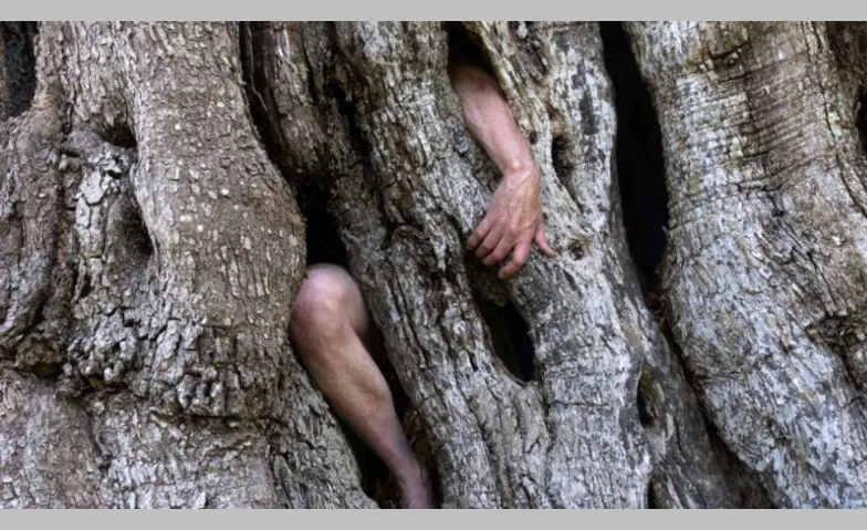 Simon Faithfull: Acts of Entanglement, Kunst & Ausstellungen, Mewo Kunsthalle