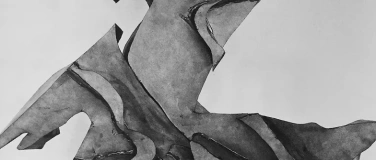 Event-Image for 'Atelier dans le cadre de l'exposition Widefield: Series'