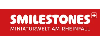 Veranstalter:in von Tabea Anderfuhren auf grosser Reise durch die Miniaturwelt