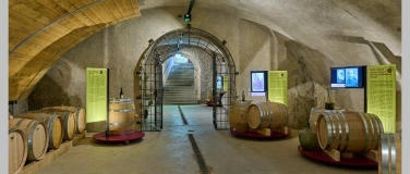 Event-Image for 'Ausstellung: 2000 Jahre Wein auf Arenenberg'