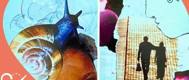 Event-Image for 'SoulCollage&reg; innere Ressourcen wiederentdecken'