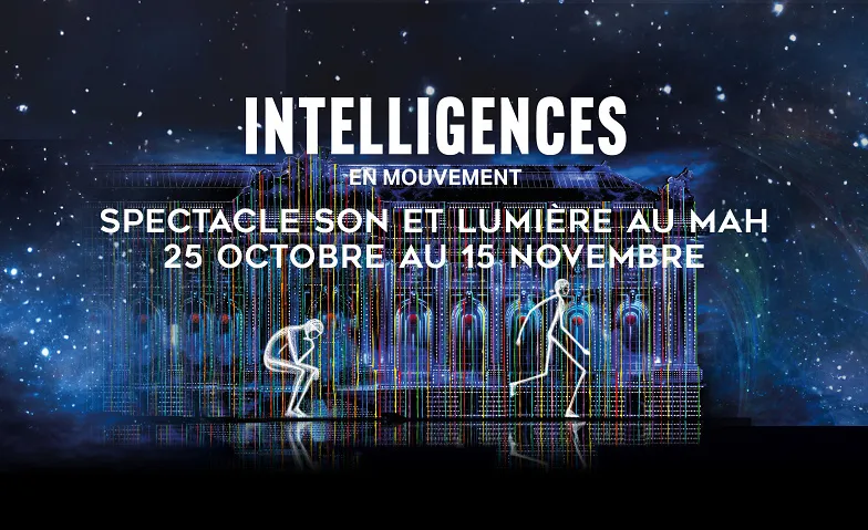 Event-Image for 'Spectacle son et lumi&egrave;re: &laquo;Intelligences en mouvement&raquo;'