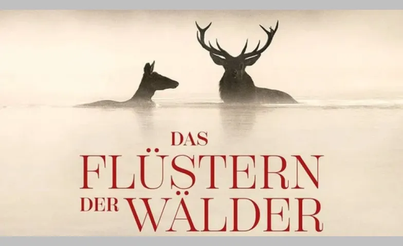 Spielboden Strickkino: Das Flüstern der Wälder