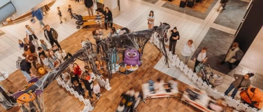 Event-Image for 'Halloween: Der &laquo;Spuk-Express&raquo; ist zur&uuml;ck'