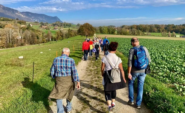 Zämegolaufe: gemeinsame Spazierwanderung, Leisure & Excursions / Hiking tour, Grenchen