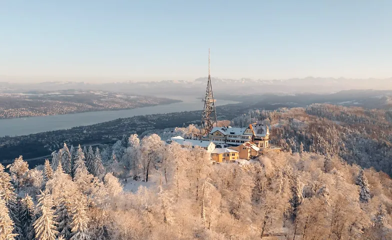 Winterwanderung Zürich  Alter 38 – 52, Dating / Fête pour célibataires, Panoramaweg Felsenegg - Uetliberg, Kanton Zürich