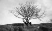 Spotlight Atelier mit Selman Keles: The Geography of Exile