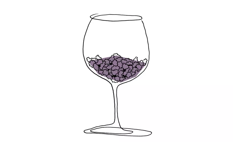 Liquid Tasting Portwein, Manger & boire / Dégustation de vins, Paul Ullrich AG