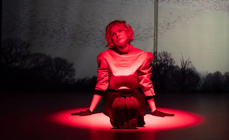 Event-Image for 'Der Sandmann. Olimpia'