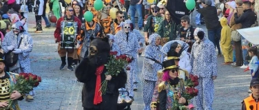 Event-Image for 'B&auml;rner Fasnachtsumzug 2027 Sitzpl&auml;tze am Z&auml;hringerbrunnen'