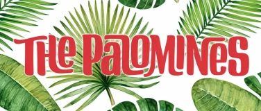 Event-Image for 'Palomines - Twang Gang'