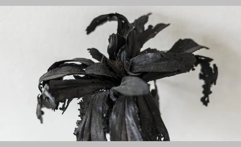 Event-Image for 'Ursula Palla im Kunstraum Dornbirn'