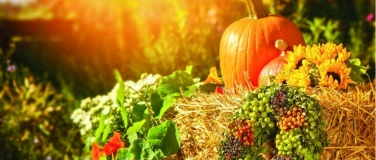 Event-Image for 'Handwerkerfest zum Erntedank'