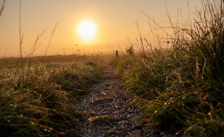 Führung durch die Ausstellung "Heide im Licht"