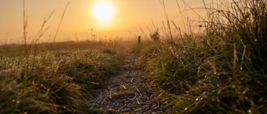 Event-Image for 'Vernissage zur Ausstellung "Heide im Licht"'