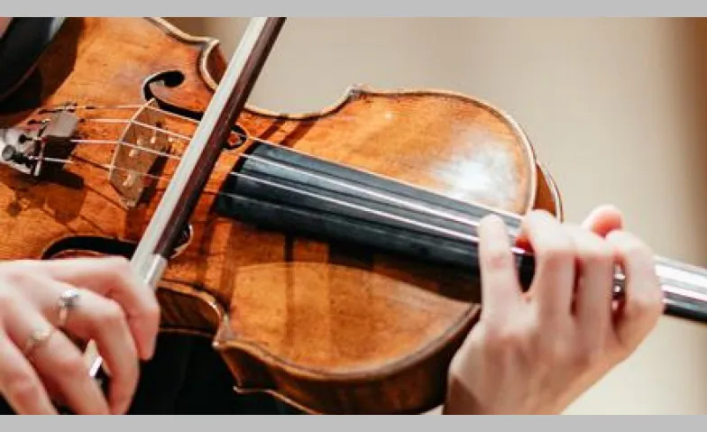 Violine im Fokus, Konzerte, Hagenhaus