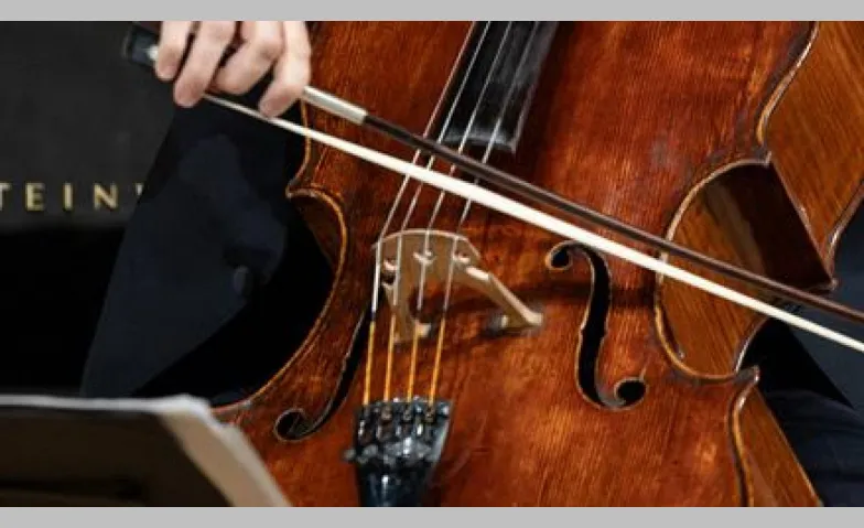 Violoncello im Fokus