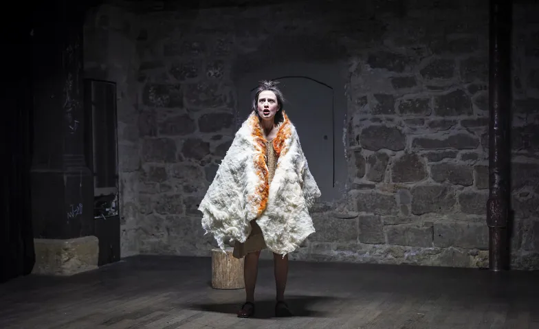 Event-Image for 'VRENELI'S G&Auml;RTLI'