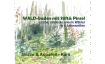 Waldbaden mit Stift&Pinsel - Skizze-&Aquarellkurs