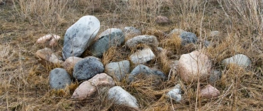 Event-Image for 'Unser Wald-Biotop'
