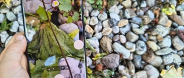 Event-Image for 'Wald-Fotografen'