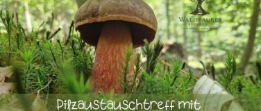 Event-Image for 'Pilzwanderaustauschtreff'