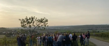 Event-Image for 'WanderWeinProbe'