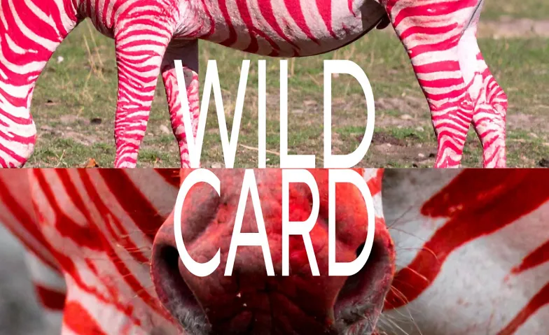 Event-Image for 'Wild Card'
