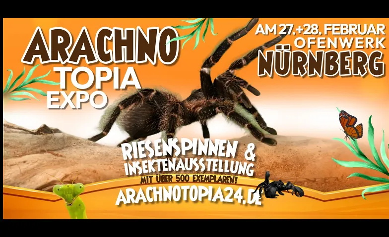 Arachnotopia - Riesenspinnen & Insektenausstellung Nürnberg, Messen / Tierausstellung, Ofenwerk