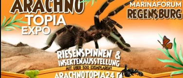 Event-Image for 'Arachnotopia - Spinnen & Insektenausstellung Regensburg'