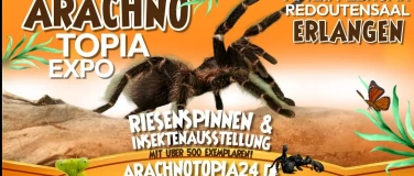Event-Image for 'Arachnotopia - Riesenspinnen & Insektenausstellung Erlangen'