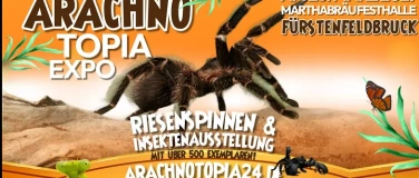 Event-Image for 'Riesenspinnen & Insektenausstellung F&uuml;rstenfeldbruck'