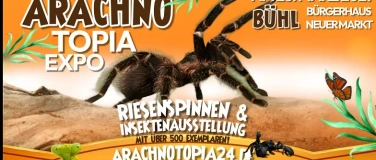 Event-Image for 'Arachnotopia - Riesenspinnen & Insektenausstellung B&uuml;hl'