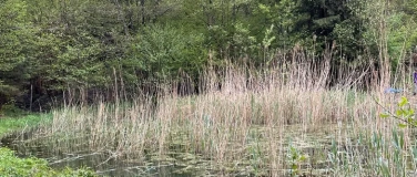 Event-Image for 'Telliwald kennenlernen: Natur, Projekte, Probleme'