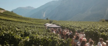 Event-Image for 'Weinwanderung - Balade des Vins - Wine Walk - Salgesch 2027'