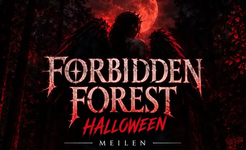 ANGELS MAY CRY – HALLOWEEN PARTY   16+, Partys / Halloween, Meilen. (Genaue Adresse wird nur mit Ticketinhabern geteilt)