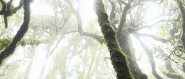 Event-Image for 'While the Green Grass Grows: A Diary in Seven Parts'