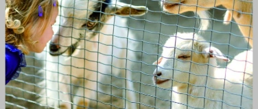 Event-Image for 'Wie lange k&ouml;nnen Tiere leben?'