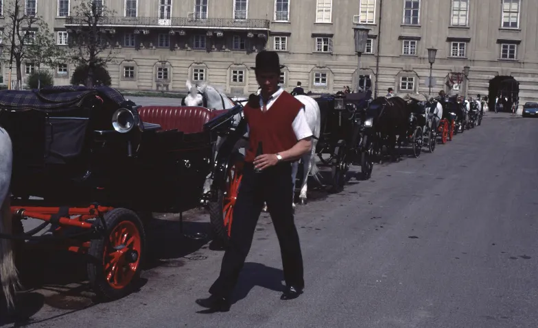 Wien ohne Wiener Tickets